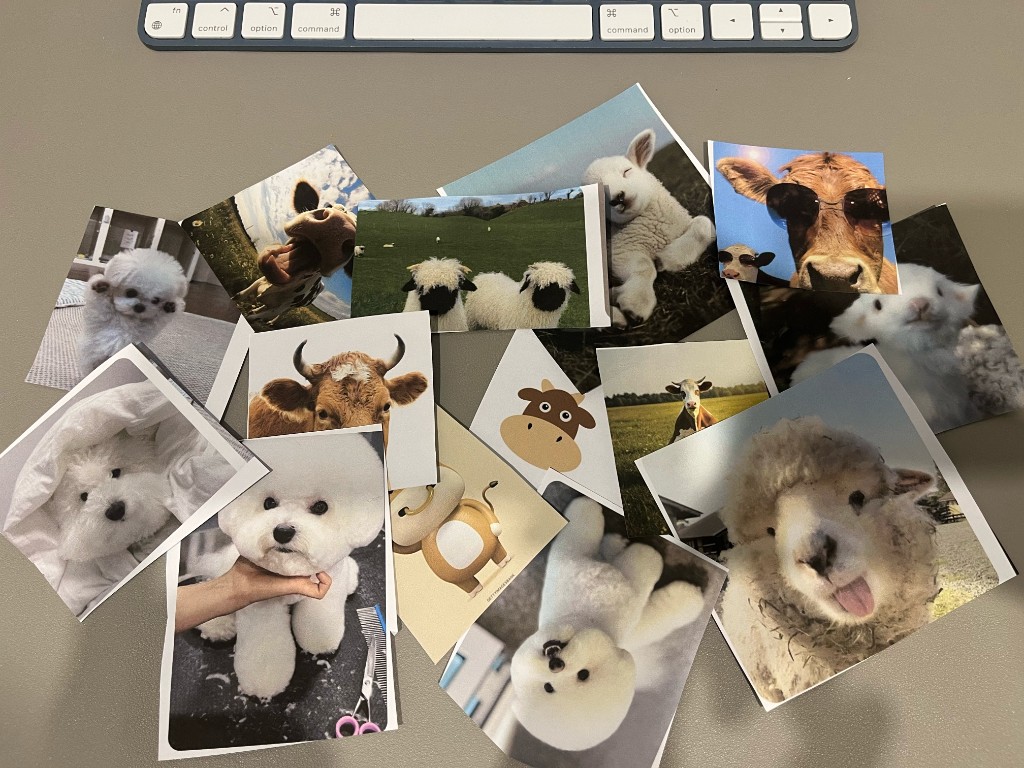 Mascot inspiration — animal references and moodboard